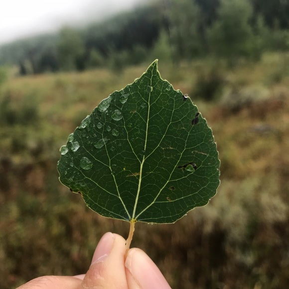 Meet your Posher, Christy - Picture 1 of 1